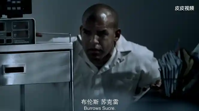 这家伙第四季很爷们.webp
